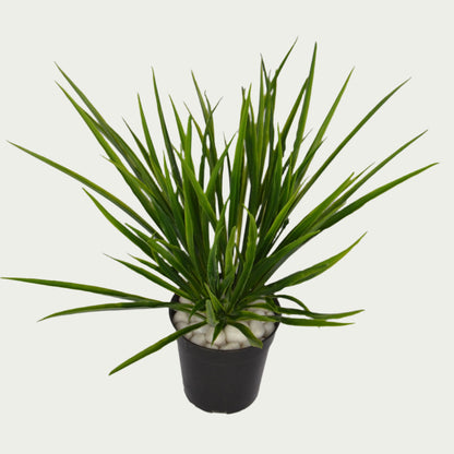 Eye-catching product image of 1 Ft Grass Bush Contemporary Lush Green Accent – Vibrant Decorative Plant for Home or Office – Shop Luxiplant, ideal for indoor settings.