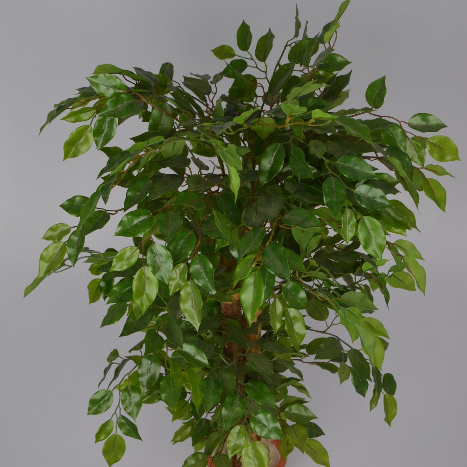 3 Ft Artificial Ficus Plant – Compact Faux Tree with Realistic Green Leaves for Indoor Home, Office &amp; Tabletop Décor