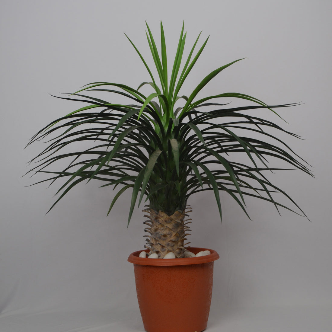 3 Ft Artificial Dracaena Plant – Lifelike Faux Greenery with Two-Tone Leaves for Indoor Home, Office &amp; Tabletop Décor