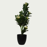 {} featured in a cozy, layered bedroom setting (variation)