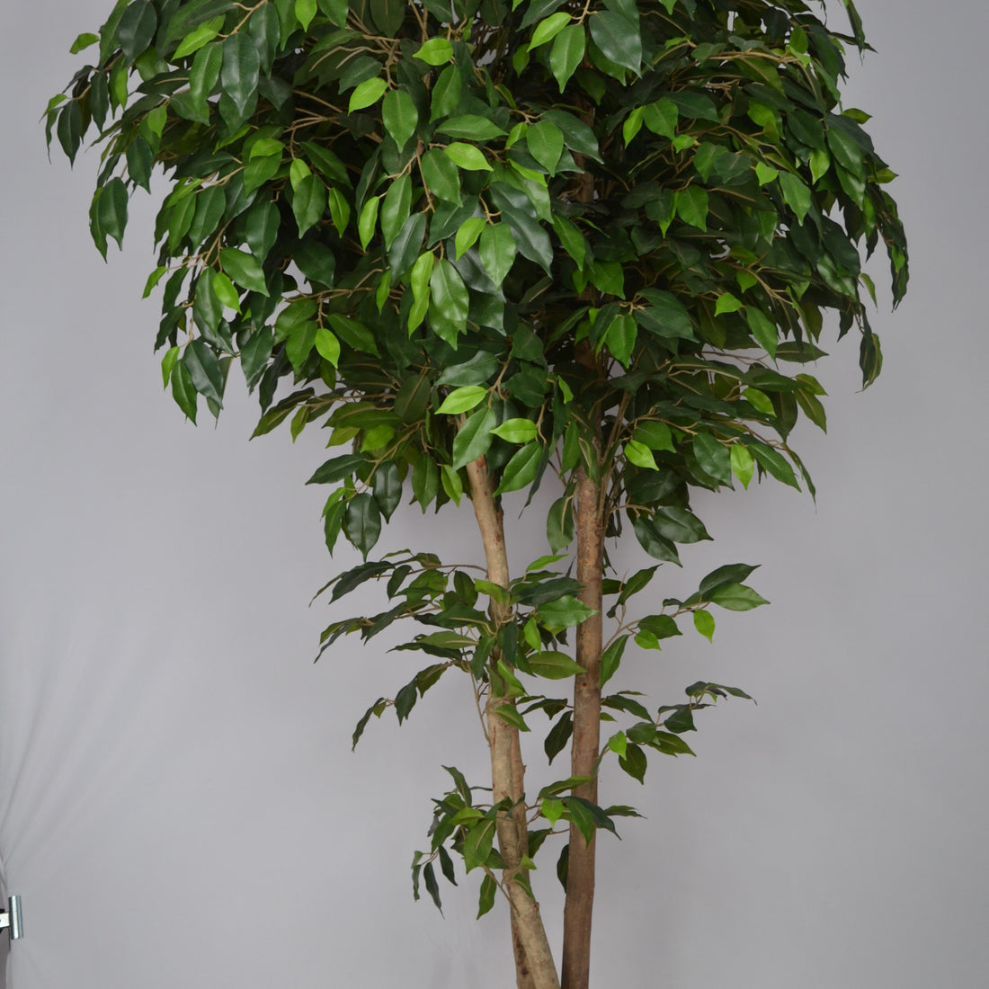 5 Ft Artificial Ficus Plant – Tall Faux Indoor Tree with Realistic Trunk &amp; Dense Green Leaves for Home, Office &amp; Living Room Décor