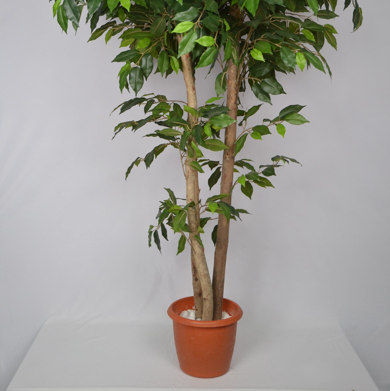 indoor plants 5 feet 5 Ft Artificial Ficus Plant – Tall Faux Indoor Tree with Realistic Tru – Luxiplant