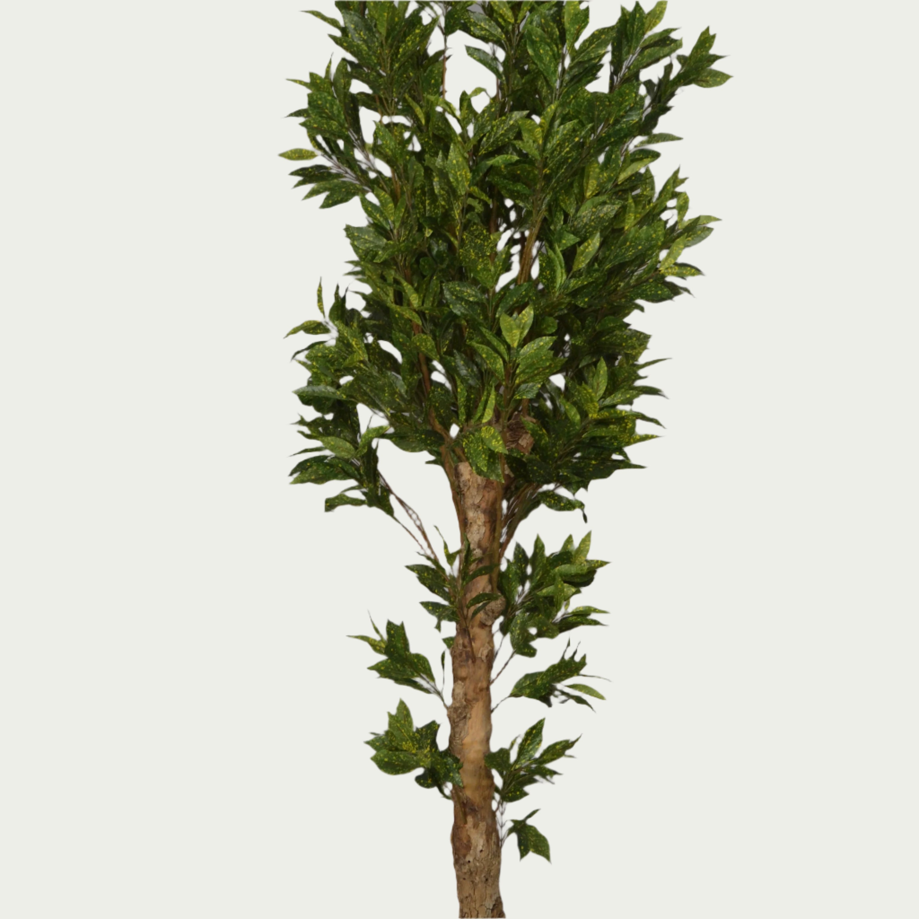 5 Ft Artificial Croton Plant – Vibrant Faux Indoor Tree with Multicolor Leaves for Home, Office &amp; Living Room Décor