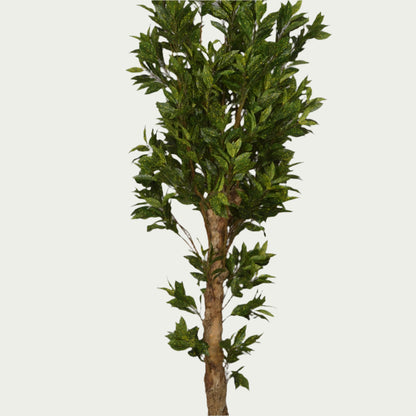 5 Ft Artificial Croton Plant – Vibrant Faux Indoor Tree with Multicolor Leaves for Home, Office &amp; Living Room Décor