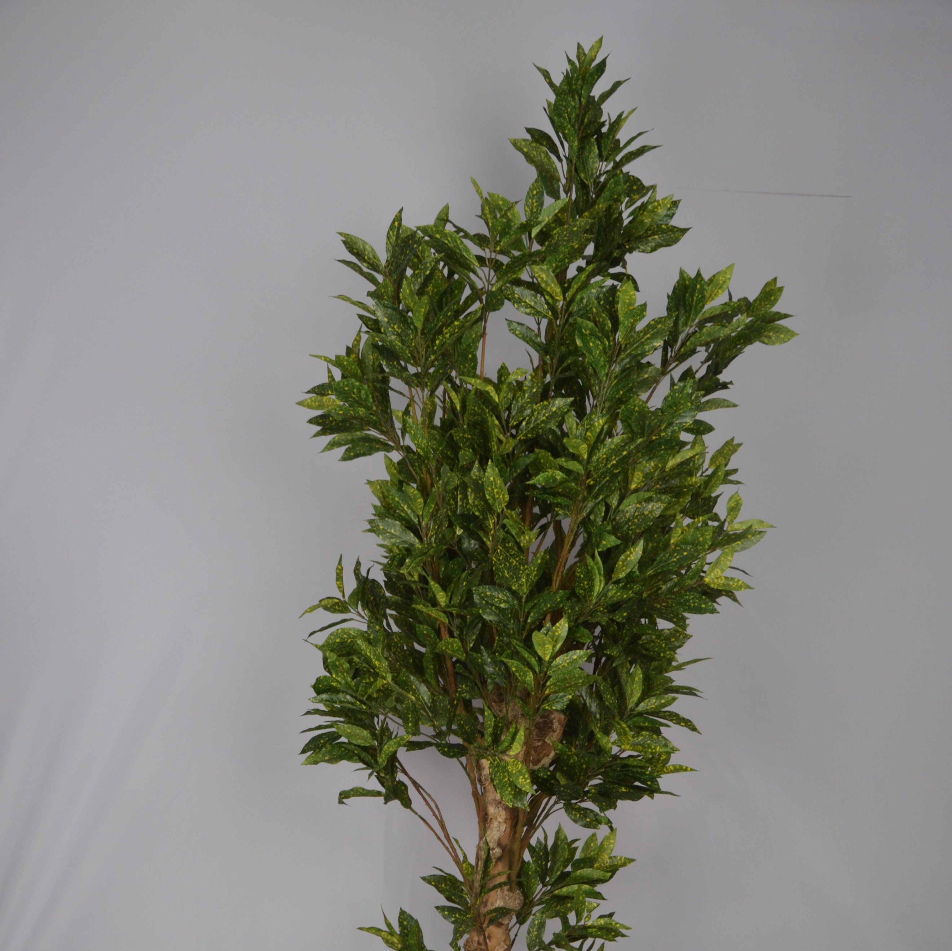 5 Ft Artificial Croton Plant – Vibrant Faux Indoor Tree with Multicolor Leaves for Home, Office &amp; Living Room Décor