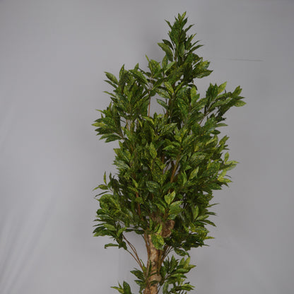 5 Ft Artificial Croton Plant – Vibrant Faux Indoor Tree with Multicolor Leaves for Home, Office &amp; Living Room Décor