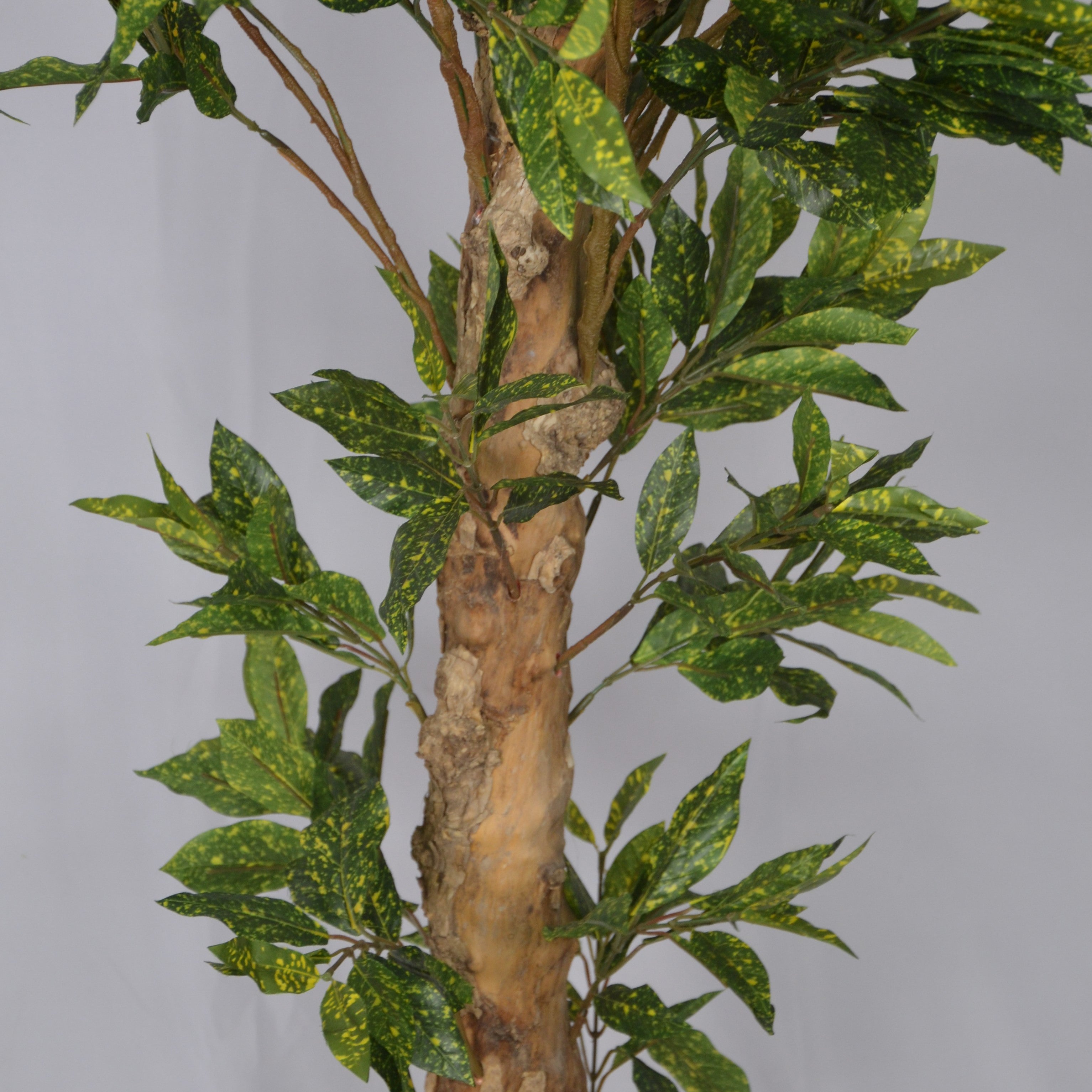 5 Ft Artificial Croton Plant – Vibrant Faux Indoor Tree with Multicolor Leaves for Home, Office &amp; Living Room Décor
