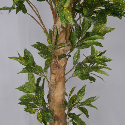 5 Ft Artificial Croton Plant – Vibrant Faux Indoor Tree with Multicolor Leaves for Home, Office &amp; Living Room Décor