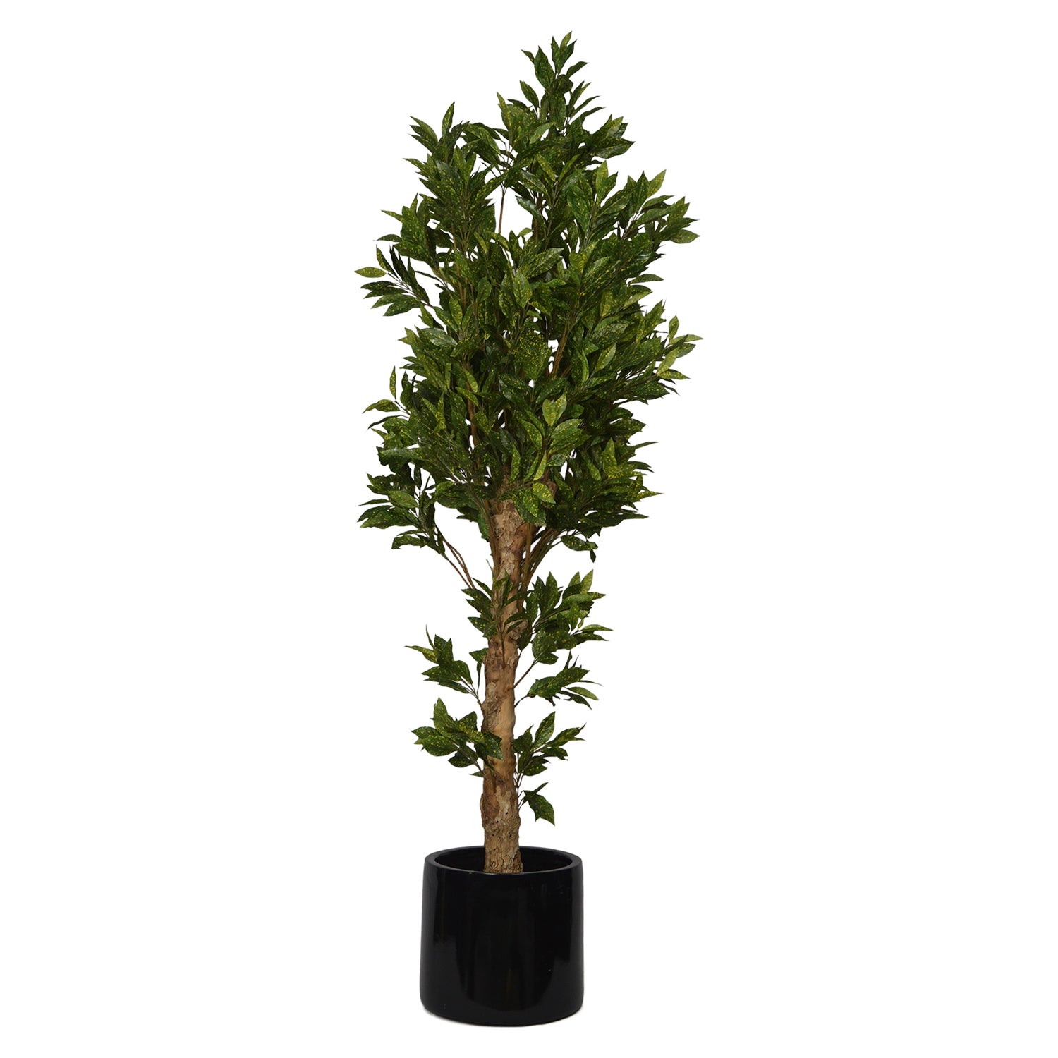 5 Ft Artificial Croton Plant – Vibrant Faux Indoor Tree with Multicolor Leaves for Home, Office &amp; Living Room Décor