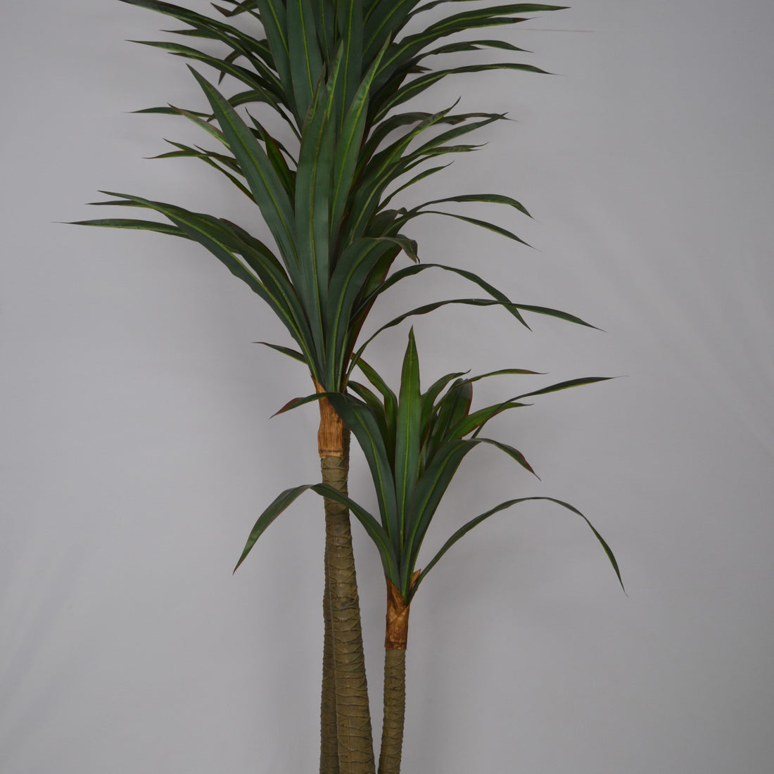 6 Ft Artificial Dracaena Plant – Tall Faux Indoor Tree with Realistic Variegated Leaves for Home, Office &amp; Corner Décor