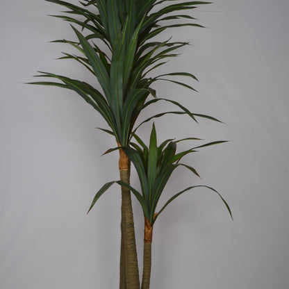 6 Ft Artificial Dracaena Plant – Tall Faux Indoor Tree with Realistic Variegated Leaves for Home, Office &amp; Corner Décor