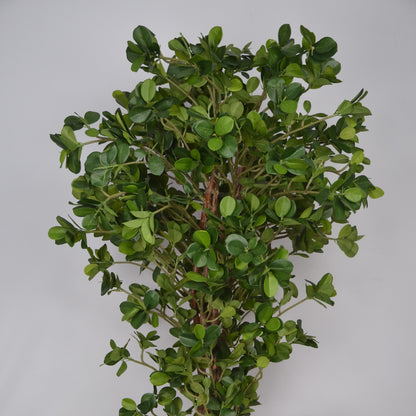 4 Ft Artificial Ficus Plant – Lifelike Faux Indoor Tree with Full Green Foliage for Home, Office &amp; Living Space Décor