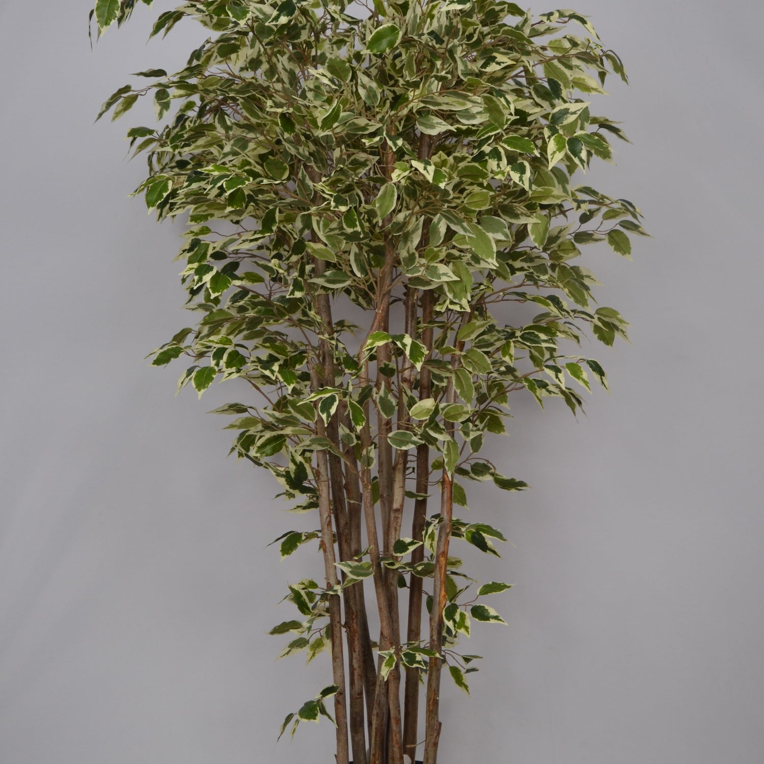 5 Ft Artificial Ficus Plant – Tall Lifelike Faux Tree with Dense Green Leaves for Indoor Home, Office &amp; Corner Décor