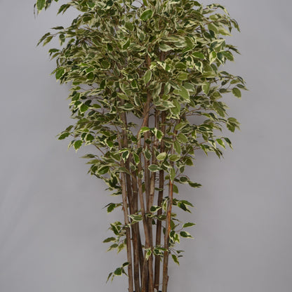 5 Ft Artificial Ficus Plant – Tall Lifelike Faux Tree with Dense Green Leaves for Indoor Home, Office &amp; Corner Décor