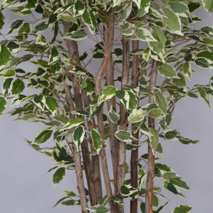 5 Ft Artificial Ficus Plant – Tall Lifelike Faux Tree with Dense Green Leaves for Indoor Home, Office &amp; Corner Décor