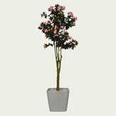 {} shown in workspace to inspire calm and focus (variation)