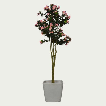 {} shown in workspace to inspire calm and focus (variation)