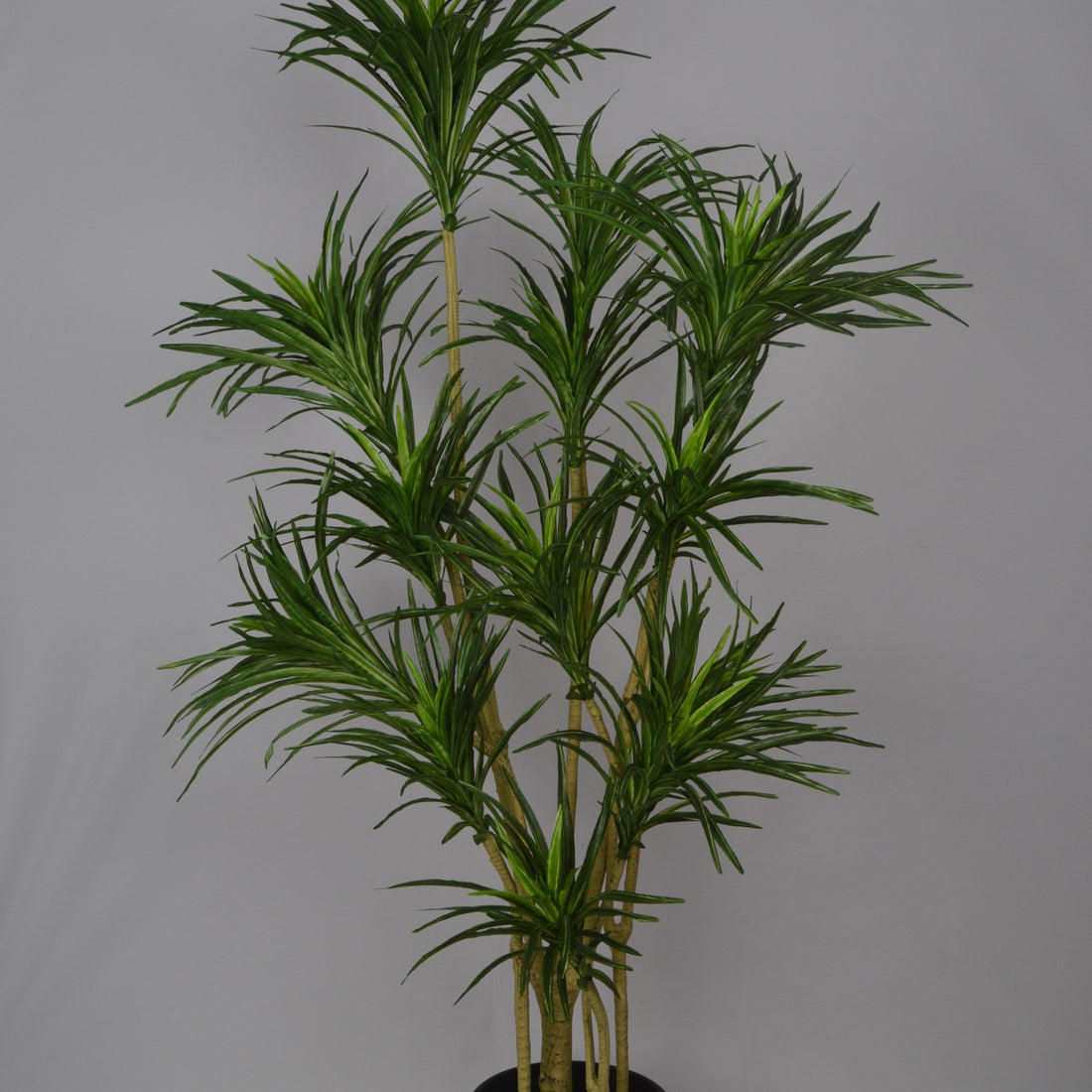 5 Ft Artificial Dracaena Plant – Realistic Tall Faux Plant with Variegated Green Leaves for Indoor Home, Office &amp; Living Room Décor