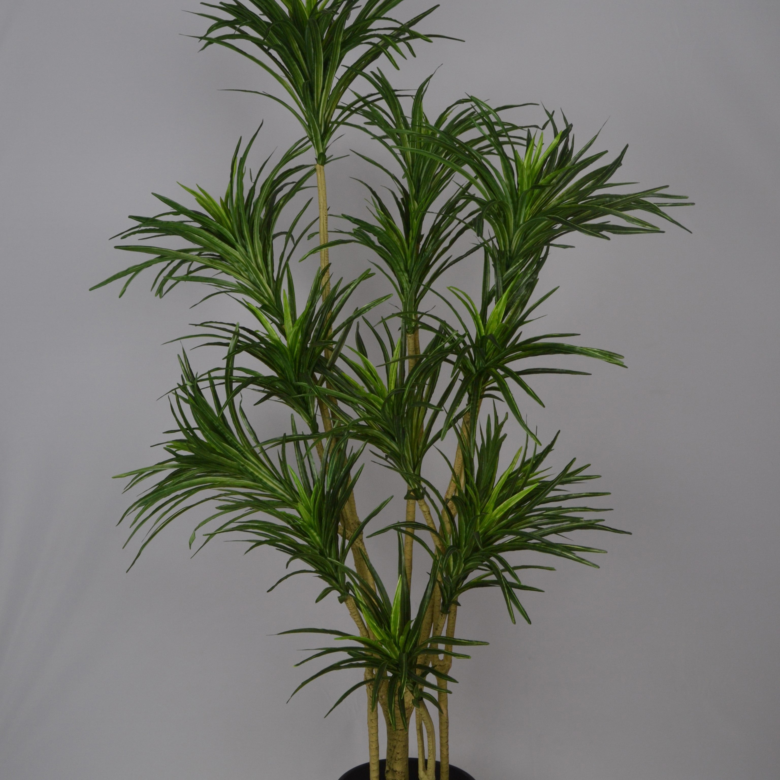 5 Ft Artificial Dracaena Plant – Realistic Tall Faux Plant with Variegated Green Leaves for Indoor Home, Office &amp; Living Room Décor