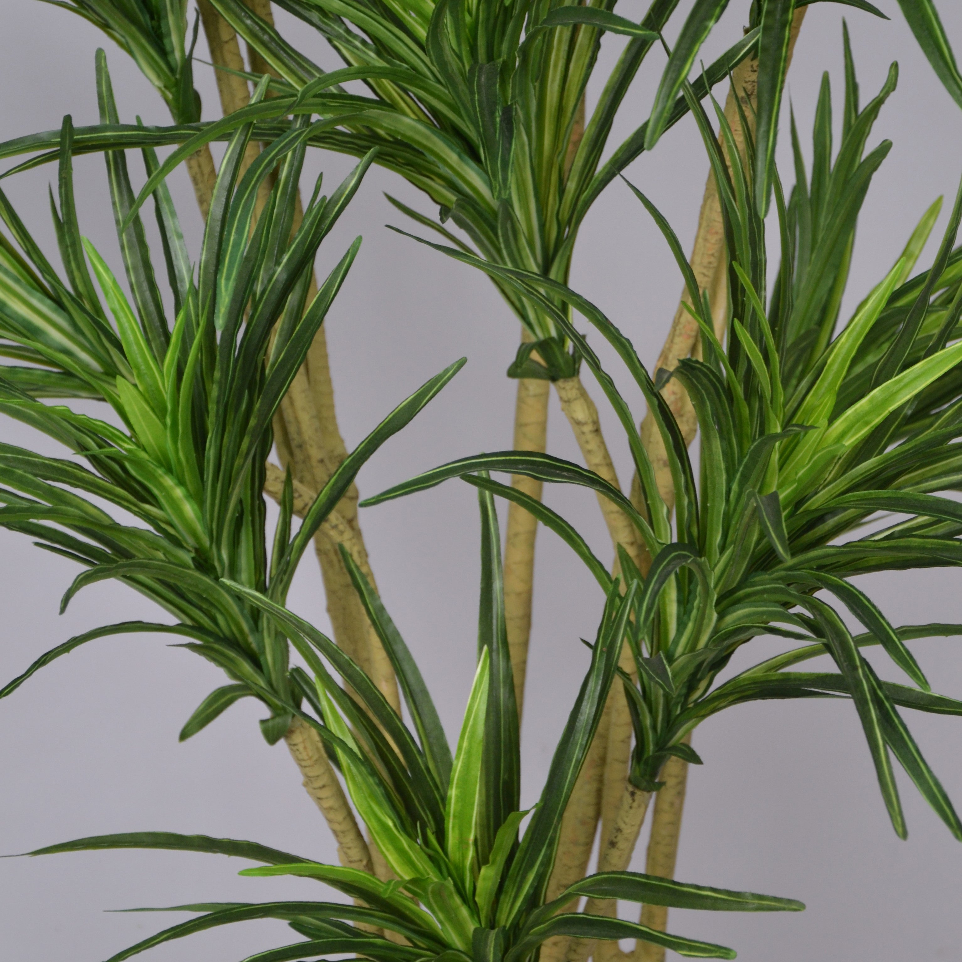 5 Ft Artificial Dracaena Plant – Realistic Tall Faux Plant with Variegated Green Leaves for Indoor Home, Office &amp; Living Room Décor