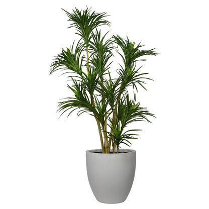5 Ft Artificial Dracaena Plant – Realistic Tall Faux Plant with Variegated Green Leaves for Indoor Home, Office &amp; Living Room Décor