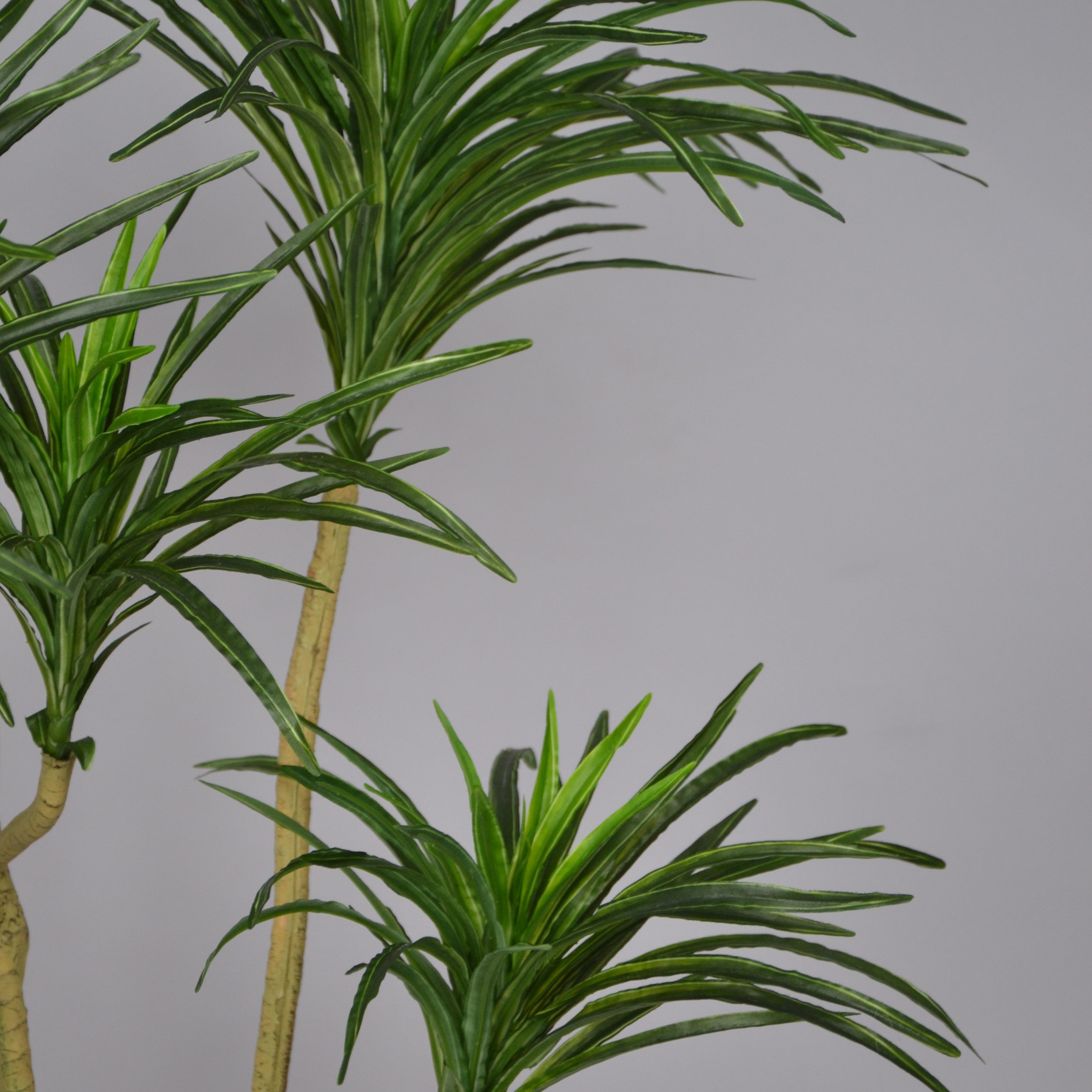 5 Ft Artificial Dracaena Plant – Tall Faux Indoor Greenery with Variegated Leaves for Home, Office &amp; Corner Décor