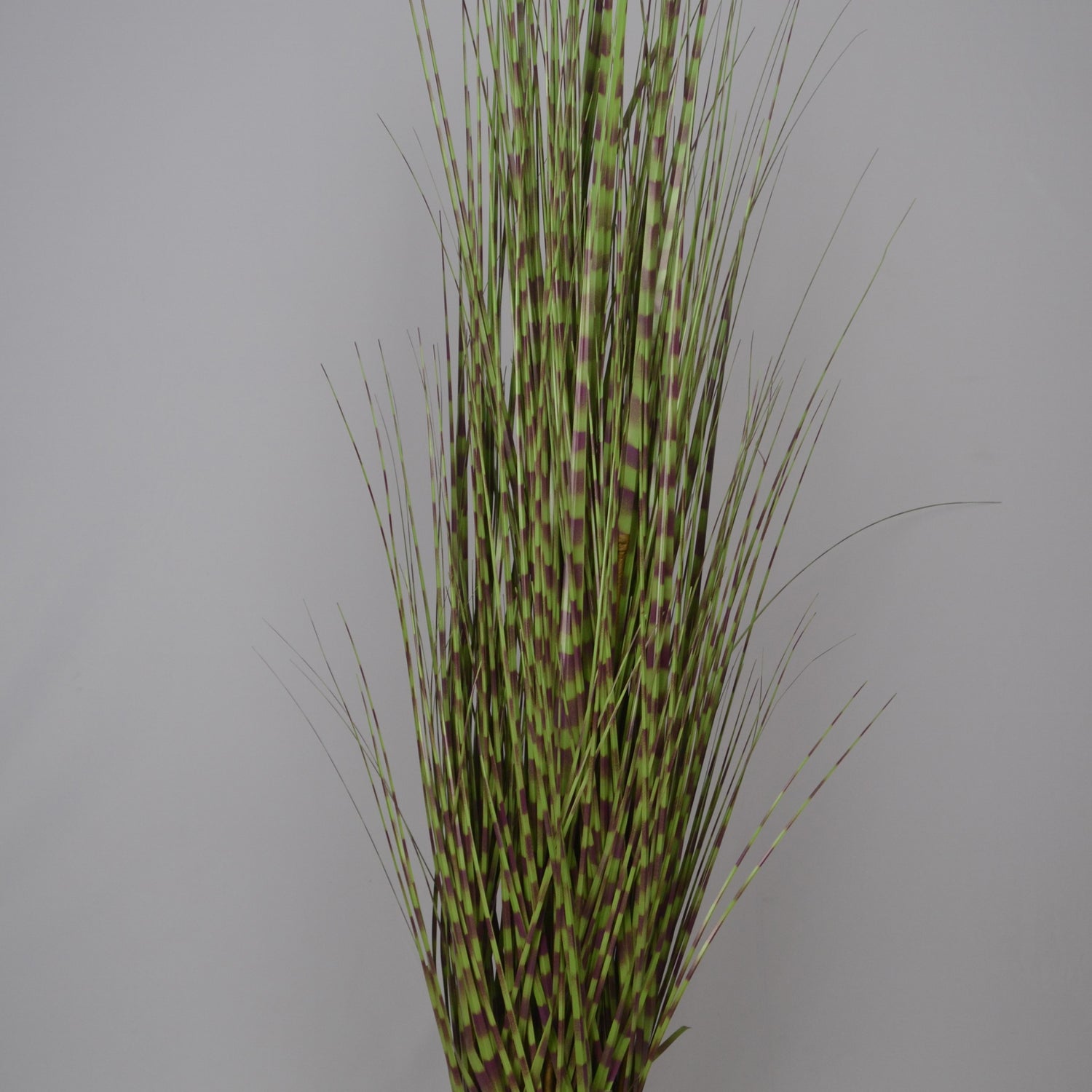 5 Ft Artificial Grass Plant – Tall Faux Greenery with Natural-Looking Blades for Indoor Home, Office &amp; Contemporary Décor