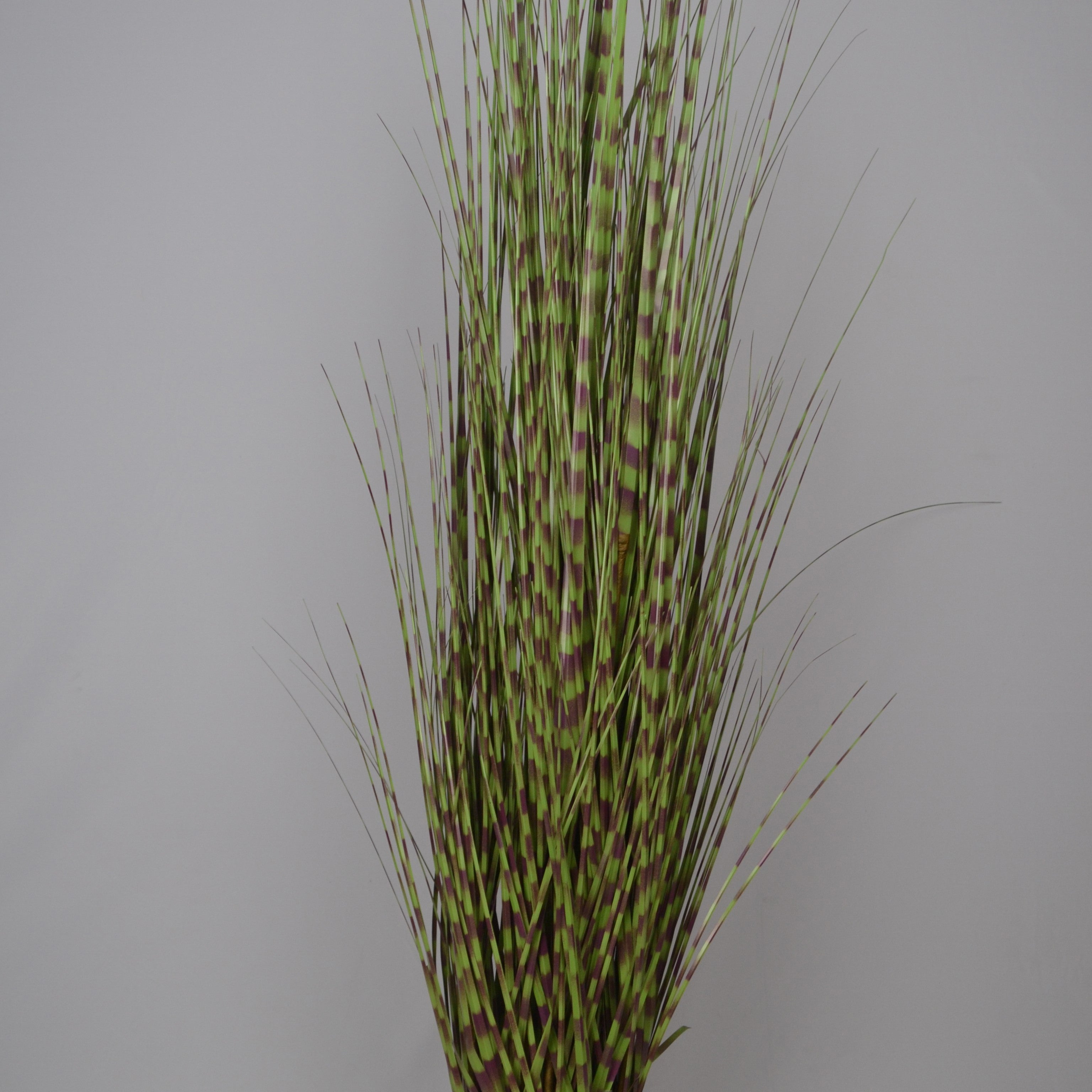 5 Ft Artificial Grass Plant – Tall Faux Greenery with Natural-Looking Blades for Indoor Home, Office &amp; Contemporary Décor