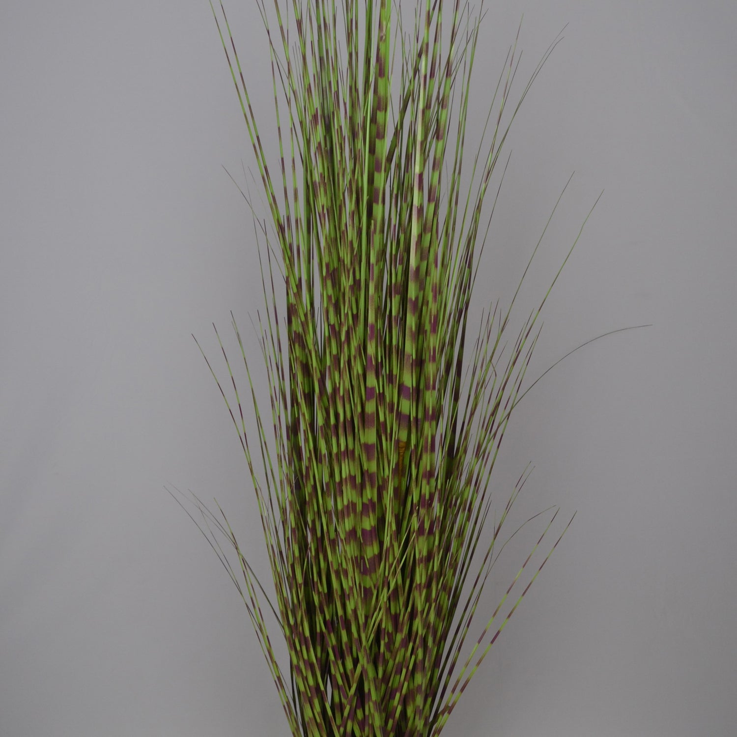 5 Ft Artificial Grass Plant – Tall Faux Greenery with Natural-Looking Blades for Indoor Home, Office &amp; Contemporary Décor
