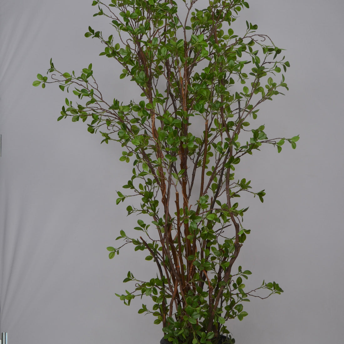 Artificial potted plant with green leaves on a plain background