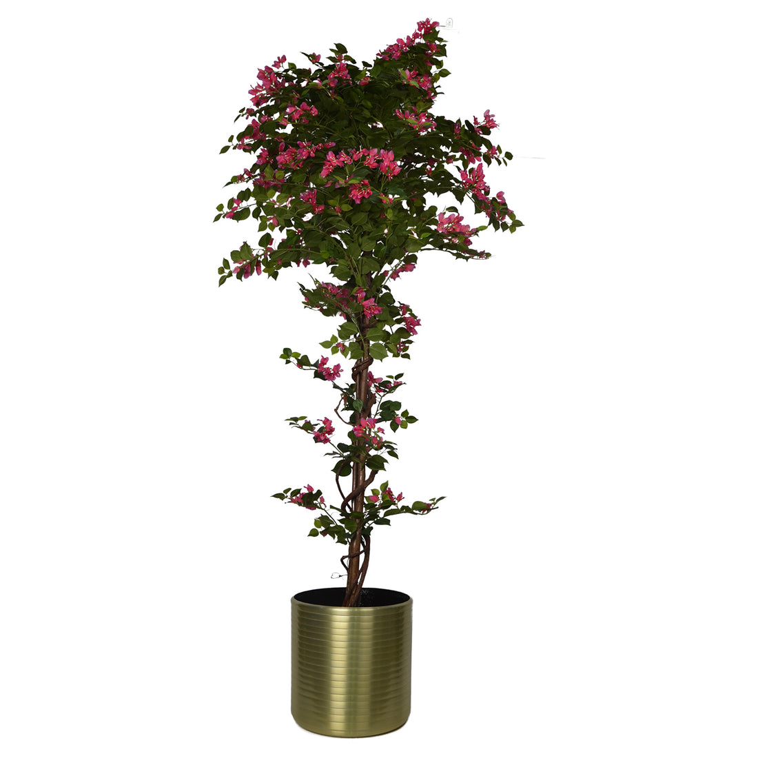 6 Ft Artificial Bougainvillea Plant – Tall Faux Flowering Tree with Vibrant Pink Blooms for Indoor Home, Office & Event Décor