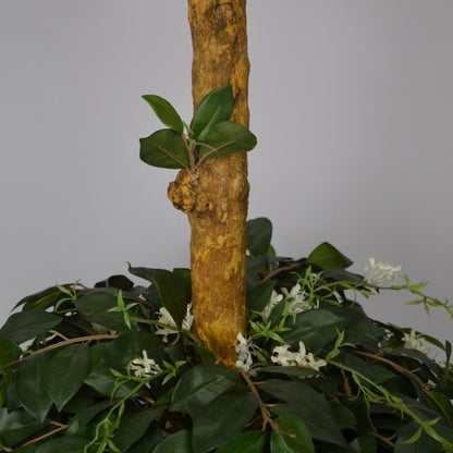 5 Ft Artificial Ficus Topiary – Tall Sculpted Faux Tree with Lush Green Leaves for Indoor Home, Office &amp; Entryway Décor