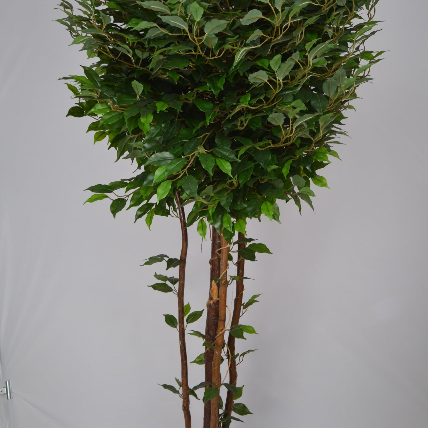 5 Ft Artificial Ficus Plant – Realistic Faux Indoor Tree with Lush Green Leaves for Home, Office &amp; Interior Décor