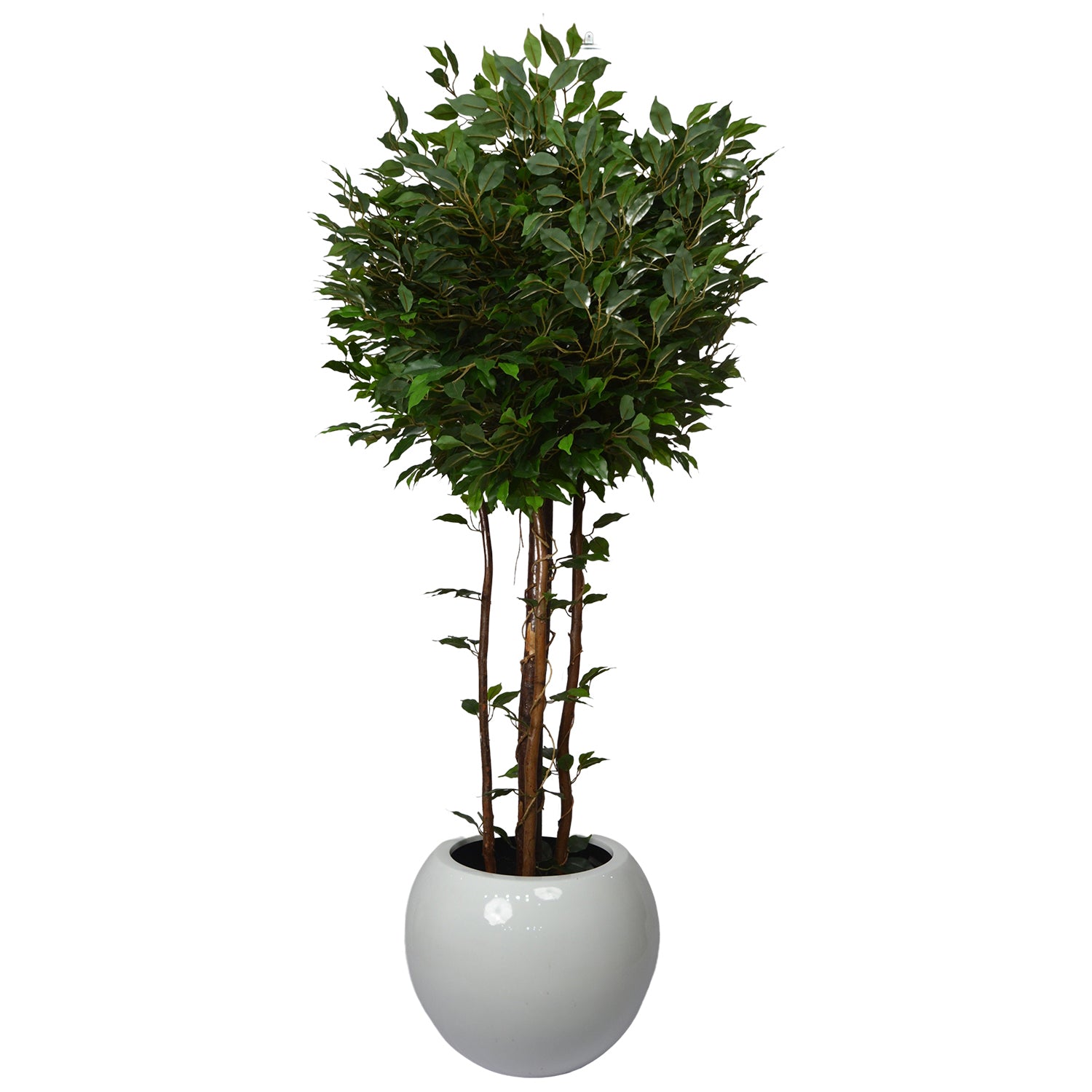 5 Ft Artificial Ficus Plant – Realistic Faux Indoor Tree with Lush Green Leaves for Home, Office &amp; Interior Décor