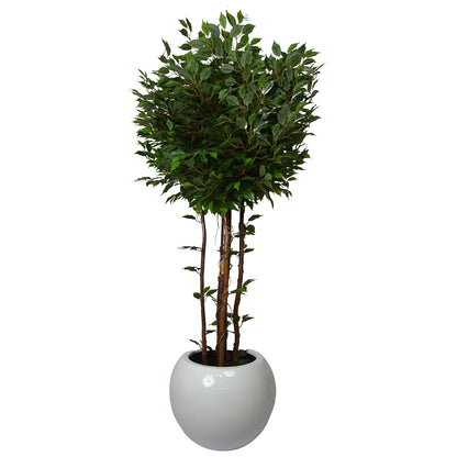 5 Ft Artificial Ficus Plant – Realistic Faux Indoor Tree with Lush Green Leaves for Home, Office &amp; Interior Décor