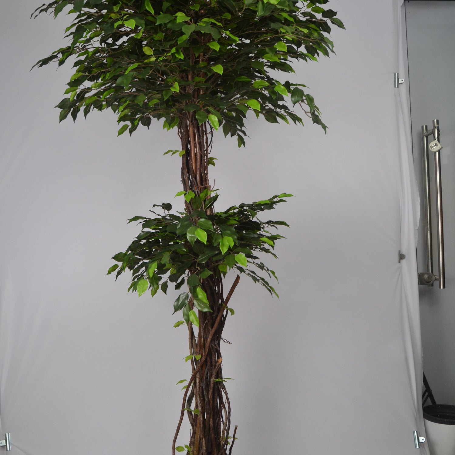 6 Ft Artificial Green Ficus Topiary – Extra Tall Sculpted Faux Tree with Lush Realistic Leaves for Indoor Home, Office &amp; Grand Entry Décor