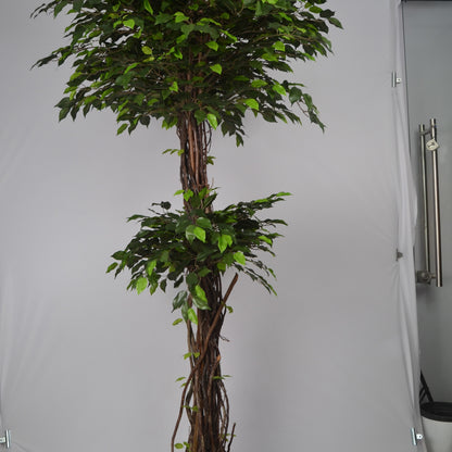 6 Ft Artificial Green Ficus Topiary – Extra Tall Sculpted Faux Tree with Lush Realistic Leaves for Indoor Home, Office &amp; Grand Entry Décor