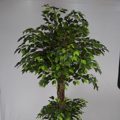 6 Ft Artificial Green Ficus Topiary – Extra Tall Sculpted Faux Tree with Lush Realistic Leaves for Indoor Home, Office &amp; Grand Entry Décor