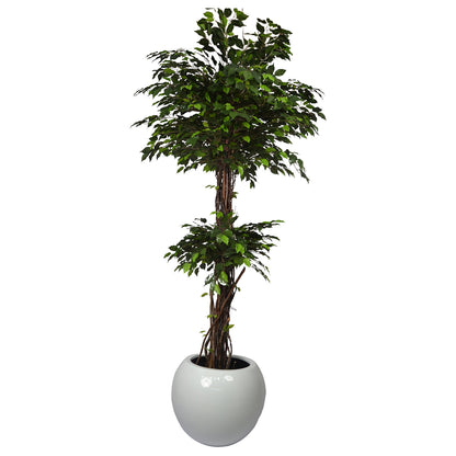 6 Ft Artificial Green Ficus Topiary – Extra Tall Sculpted Faux Tree with Lush Realistic Leaves for Indoor Home, Office &amp; Grand Entry Décor