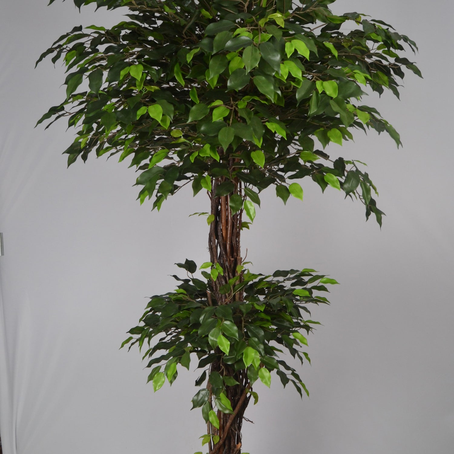 6 Ft Artificial Green Ficus Topiary – Extra Tall Sculpted Faux Tree with Lush Realistic Leaves for Indoor Home, Office &amp; Grand Entry Décor