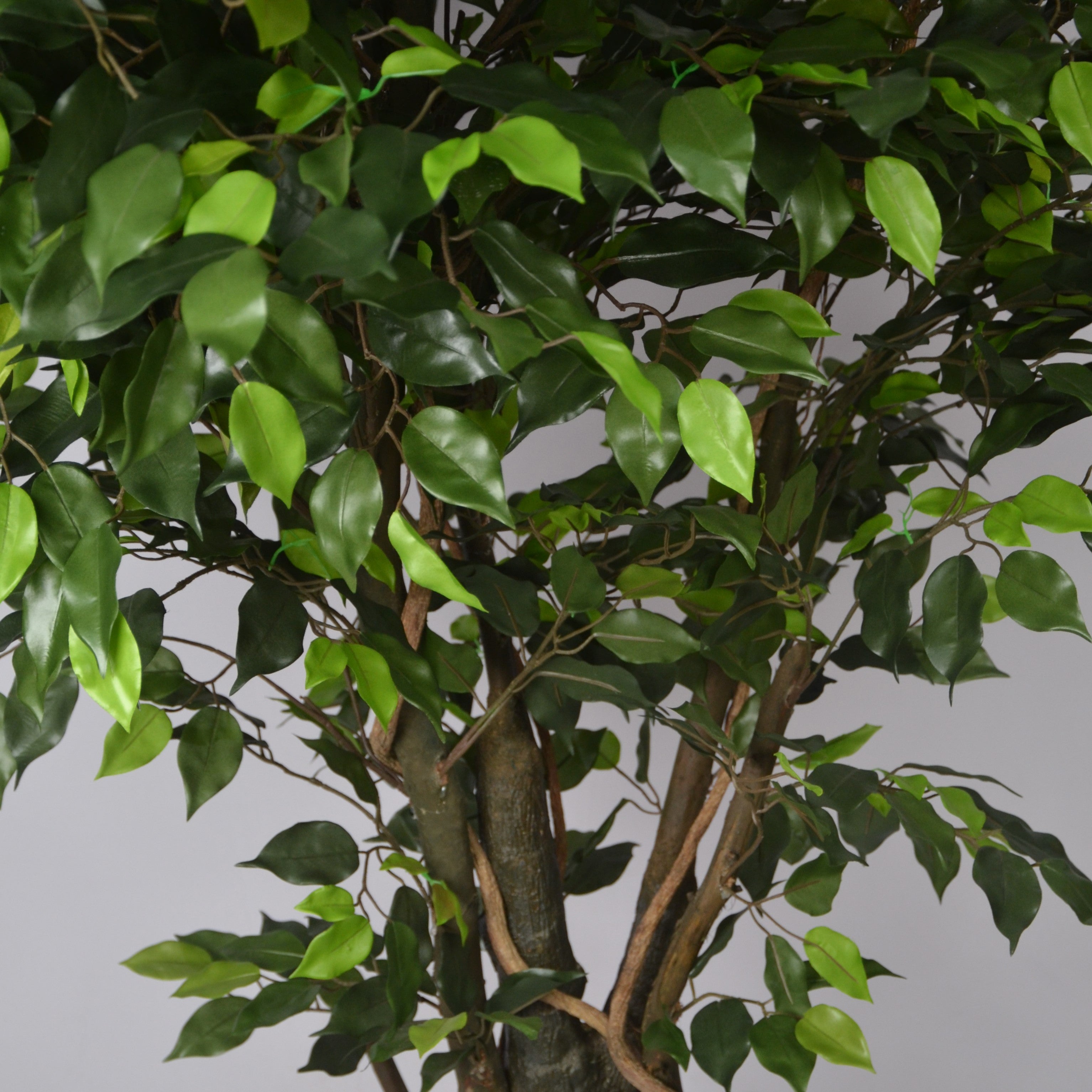 6 Ft Artificial Ficus Plant – Tall Realistic Faux Tree with Lush Green Leaves for Indoor Home, Office &amp; Corner Décor