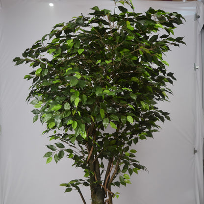 6 Ft Artificial Ficus Plant – Tall Realistic Faux Tree with Lush Green Leaves for Indoor Home, Office &amp; Corner Décor