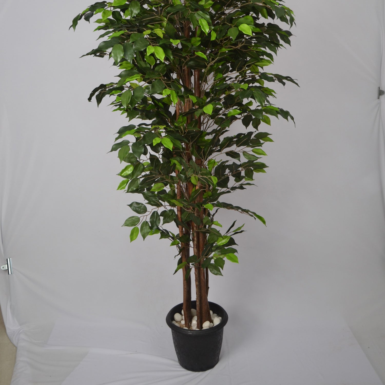 6 Ft Artificial Ficus Plant – Extra Tall Faux Indoor Tree with Realistic Green Leaves &amp; Natural Trunk for Home, Office &amp; Corner Décor