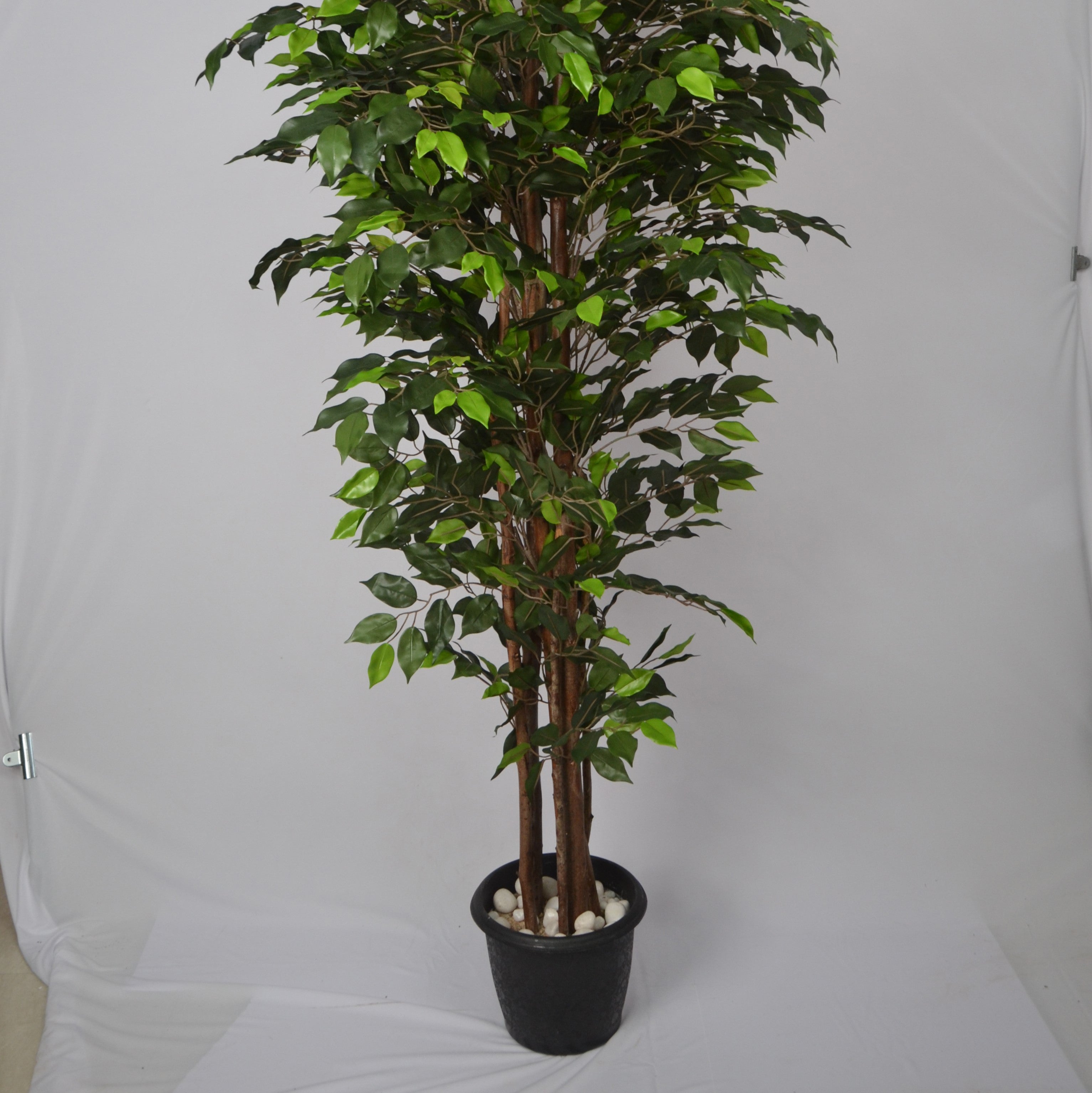 6 Ft Artificial Ficus Plant – Extra Tall Faux Indoor Tree with Realistic Green Leaves &amp; Natural Trunk for Home, Office &amp; Corner Décor