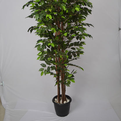 6 Ft Artificial Ficus Plant – Extra Tall Faux Indoor Tree with Realistic Green Leaves &amp; Natural Trunk for Home, Office &amp; Corner Décor