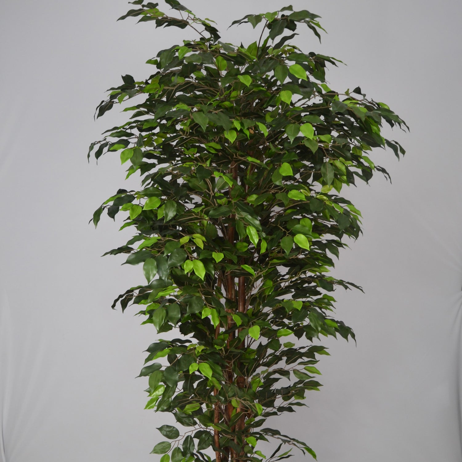 6 Ft Artificial Ficus Plant – Extra Tall Faux Indoor Tree with Realistic Green Leaves &amp; Natural Trunk for Home, Office &amp; Corner Décor