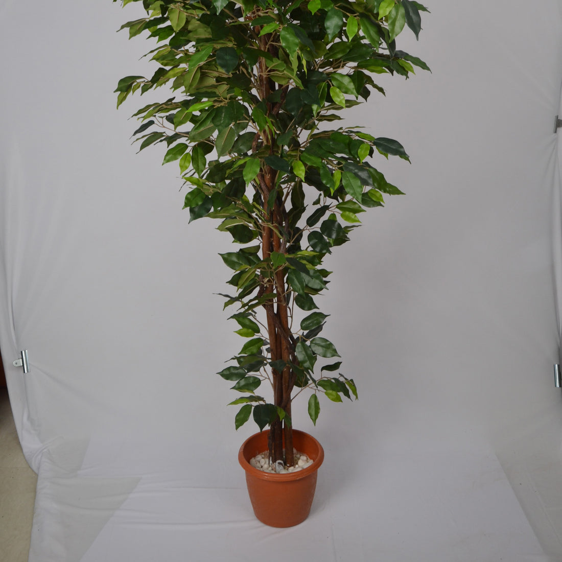6 Ft Artificial Ficus Plant – Tall Faux Indoor Tree with Lush Green Leaves & Realistic Trunk for Home, Office & Large Space Décor