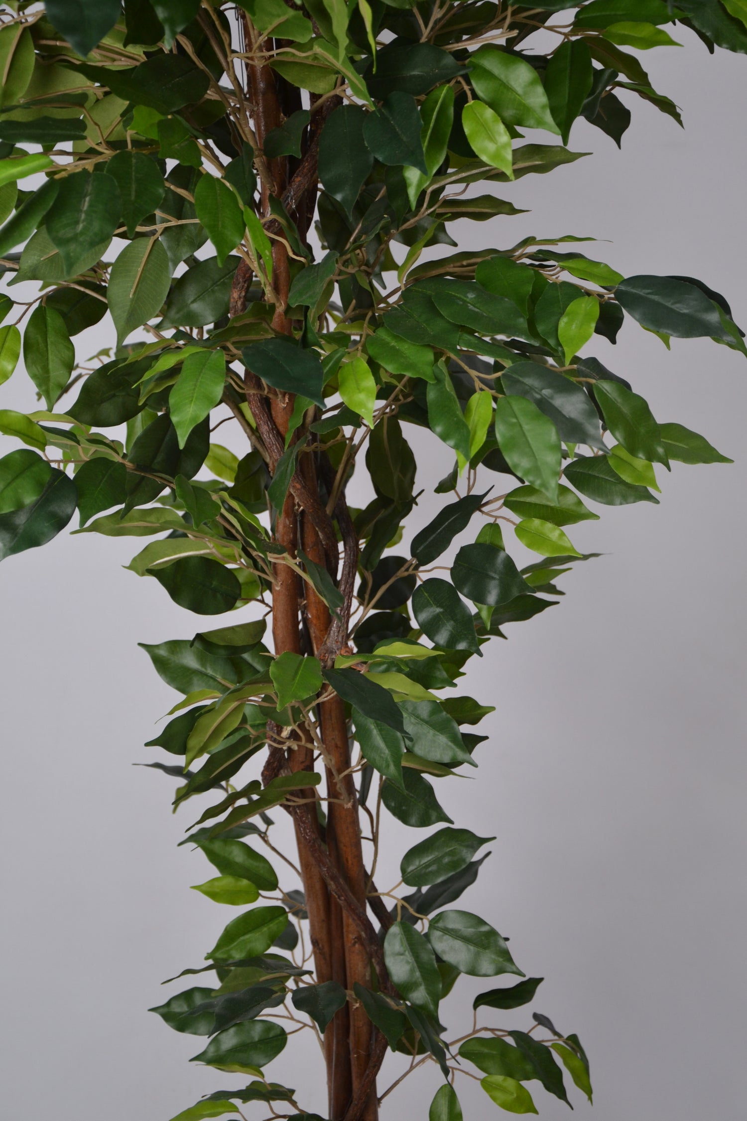 6 Ft Artificial Ficus Plant – Tall Faux Indoor Tree with Lush Green Leaves &amp; Realistic Trunk for Home, Office &amp; Large Space Décor