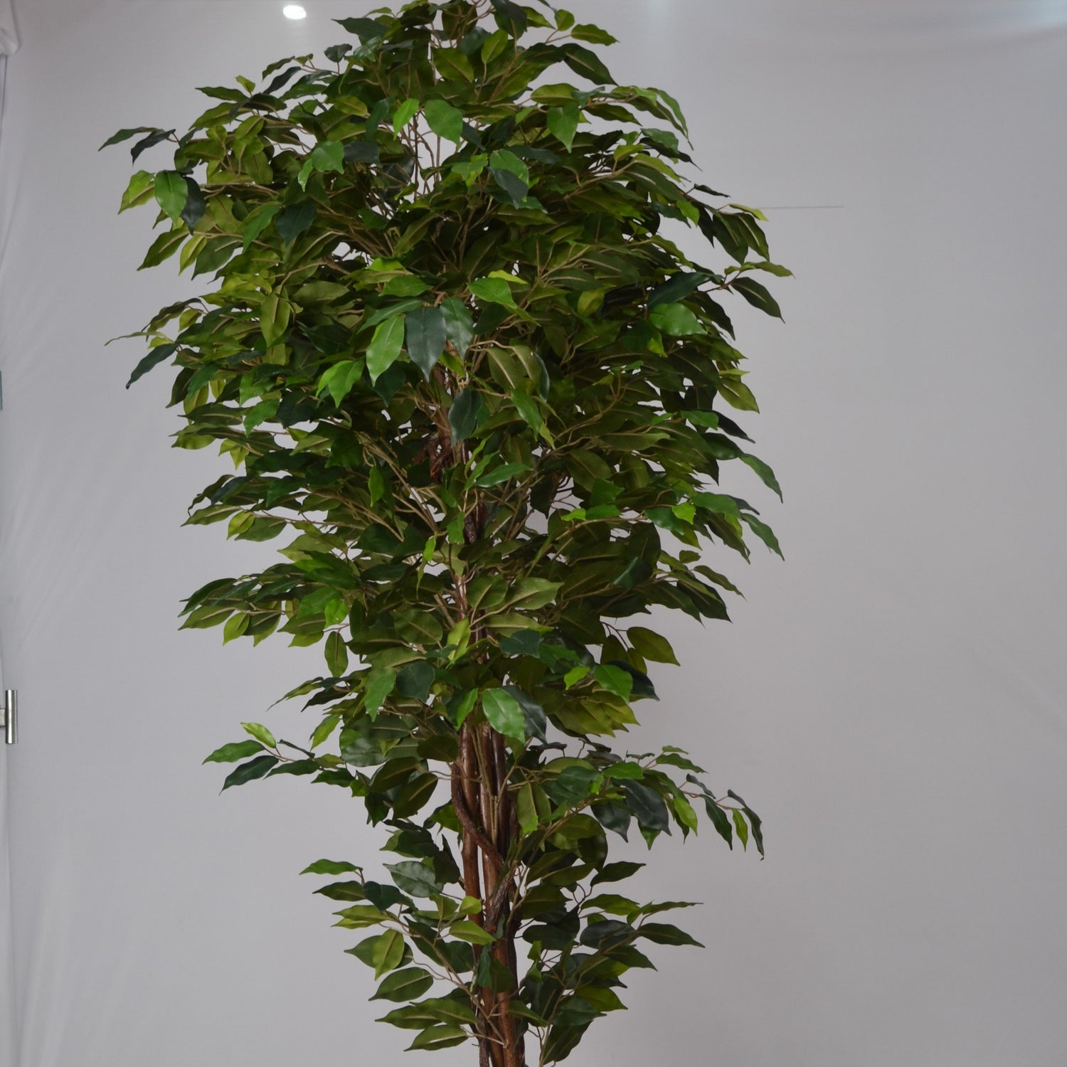 6 Ft Artificial Ficus Plant – Tall Faux Indoor Tree with Lush Green Leaves &amp; Realistic Trunk for Home, Office &amp; Large Space Décor