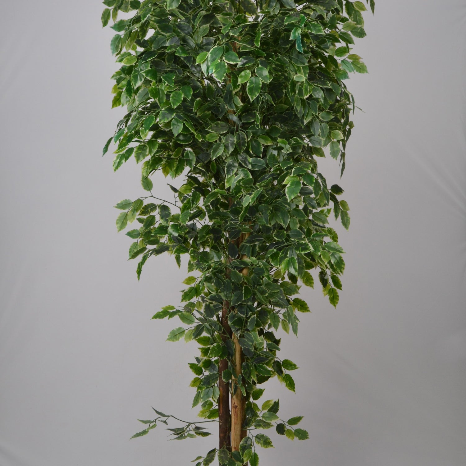 6 Ft Artificial Ficus Plant – Tall Realistic Faux Indoor Tree with Lush Green Leaves for Home, Office &amp; Corner Décor